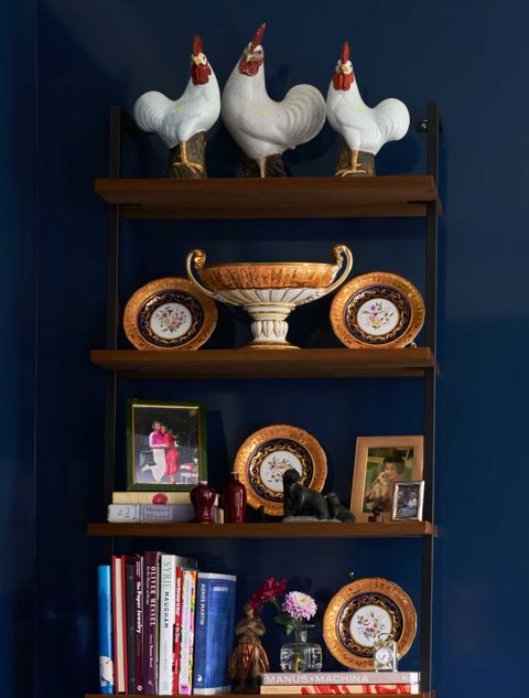 Shelf, Shelving, Rooster, Bookcase, Furniture, Display case, Room, Hutch, Chicken, Collection, 