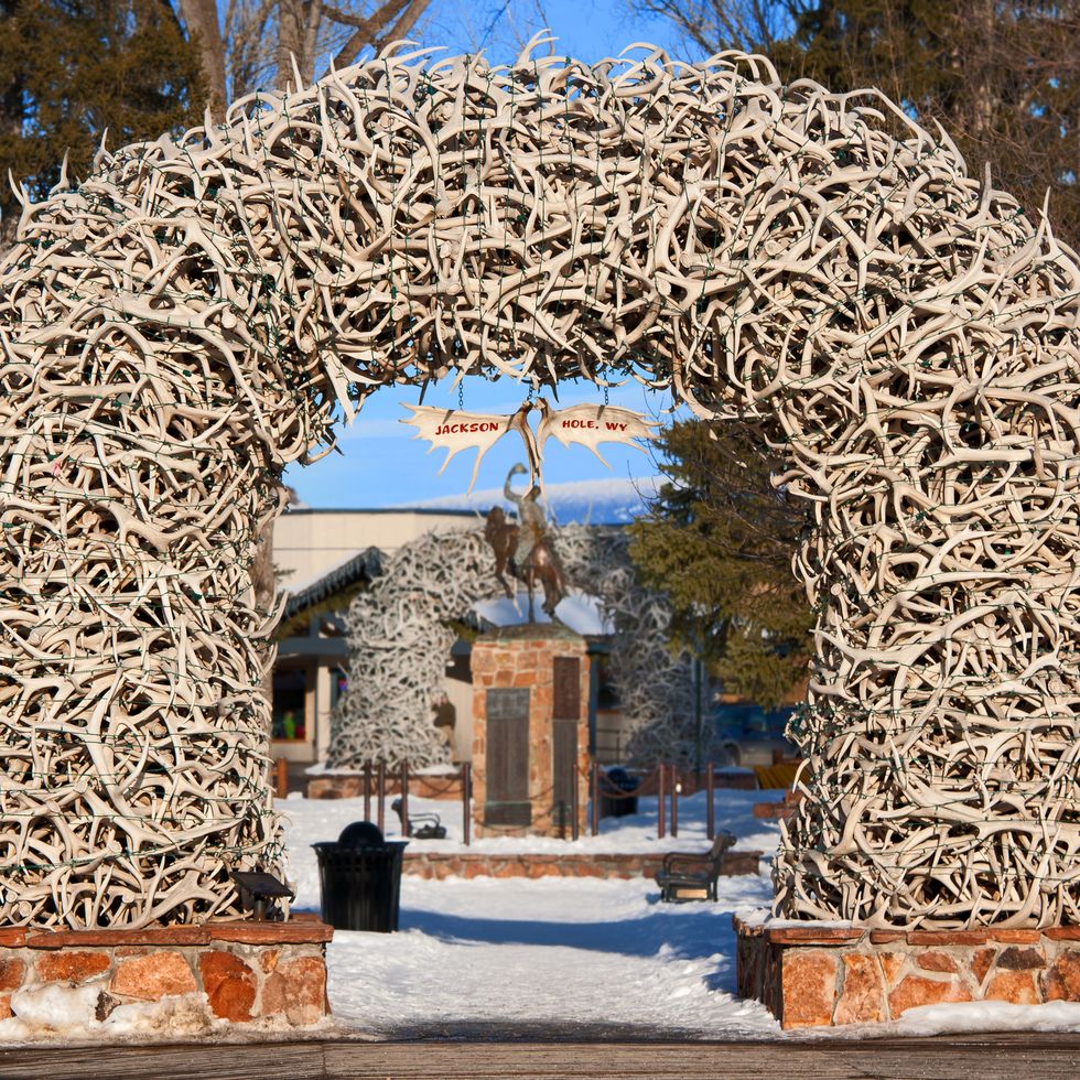 antler arches in jackson hole, wyoming