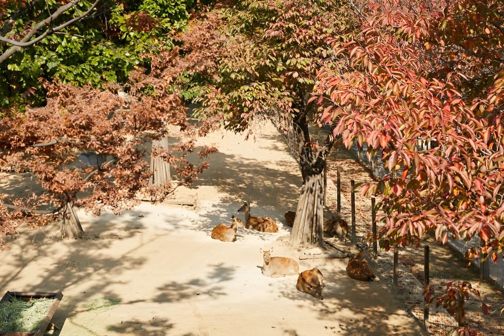 金宣虎最喜歡的散步路線推薦！四季皆美的首爾林、文化潮流的島山公園，感受都市森林的治癒感