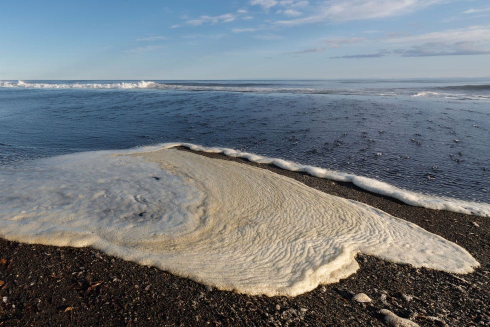 Het strand van Chalaktyrski wordt belaagd door een gelig schuim Aanvankelijk vermoedden plaatselijke autoriteiten dat de vervuiling werd veroorzaakt door het weglekken van industrile chemicalin of aardolie maar inmiddels wijst alles erop dat het om een wijdverbreide algenbloei gaat