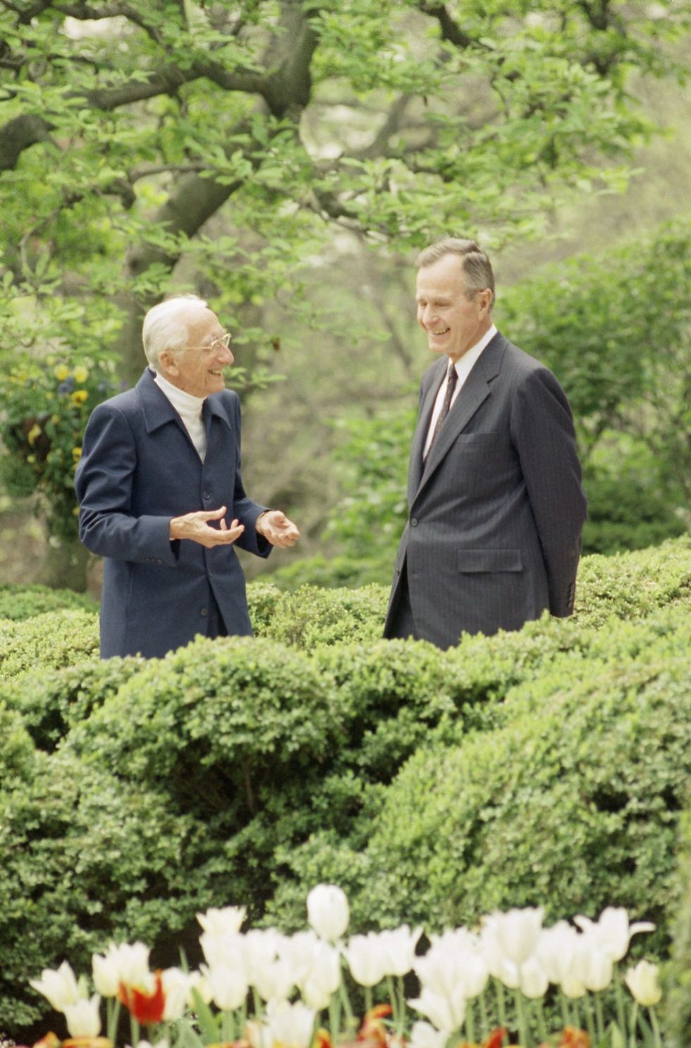 Cousteau ontmoet de toenmalige president George Bush in de rozentuin bij het Witte Huis in 1992 Cousteau riep de president op naar de Milieuconferentie in Rio de Janeiro te gaan