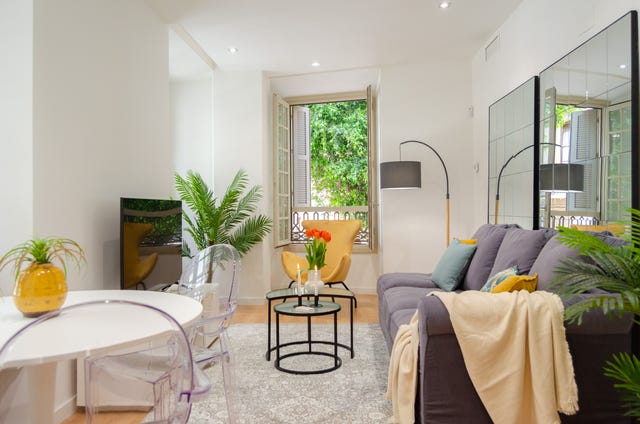 salón de estilo elegante decorado con plantas