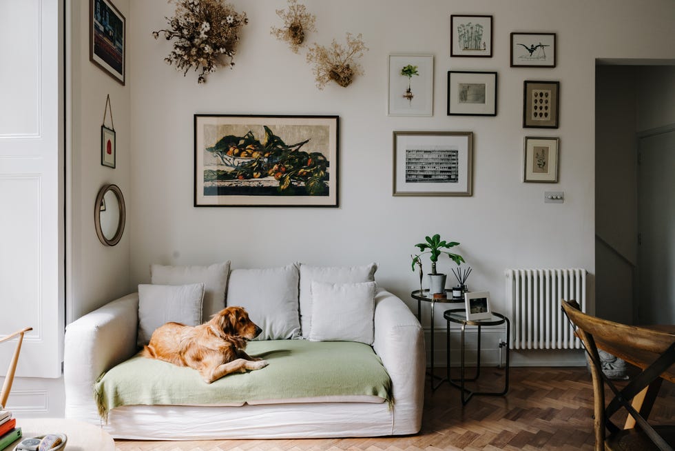 salón de estilo vintage con sofá blanco, parquet en espiga y cuadros en las paredes