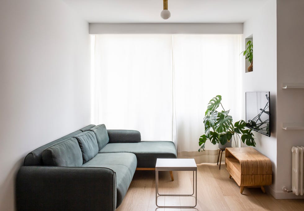 Salón de estilo minimalista con sofá verde y planta monstera