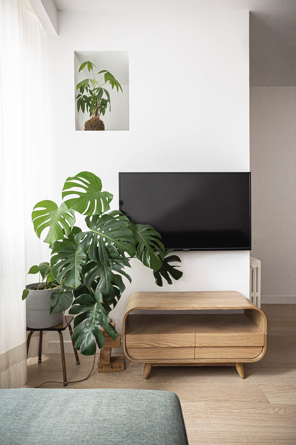 salón de estilo minimalista con sofá verde y planta monstera