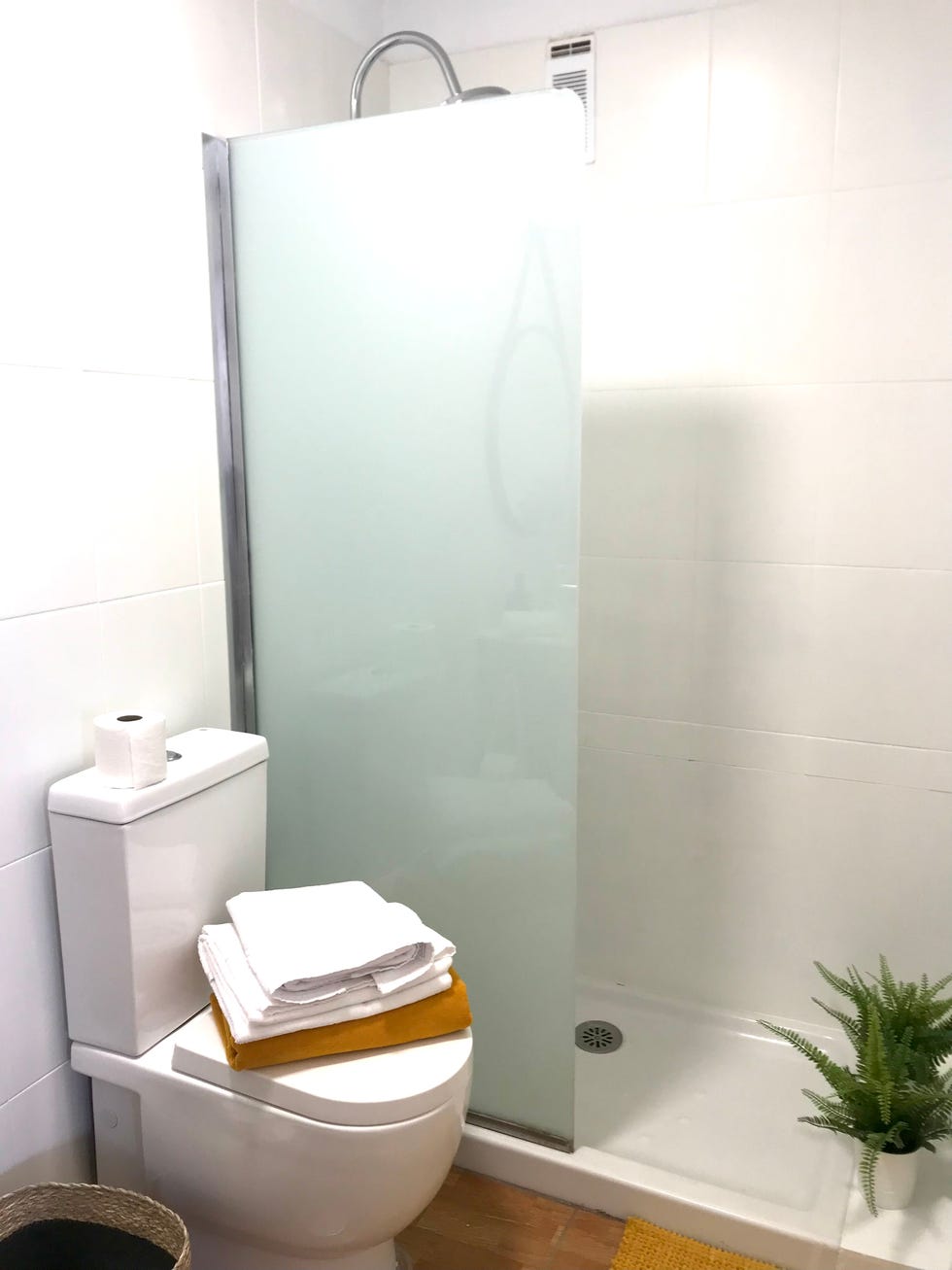 ducha con mampara fija