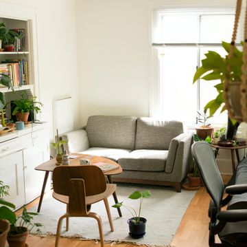 apartment with grey sofa and plants