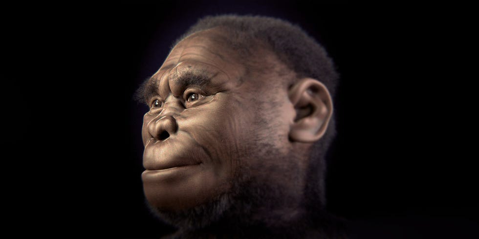 apelike-humanoid-1676514052.jpg