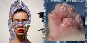 Sara Shakeel sbanca su Instagram, il suo profilo IG è invaso da glitter e cristalli, una volta faceva la dentista e adesso i suoi collage sono una preziosa boccata d'ossigeno quotidiana.