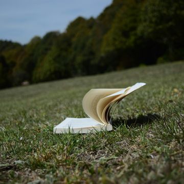 a book on the grass