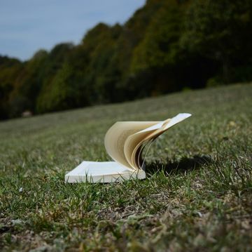 a book on the grass