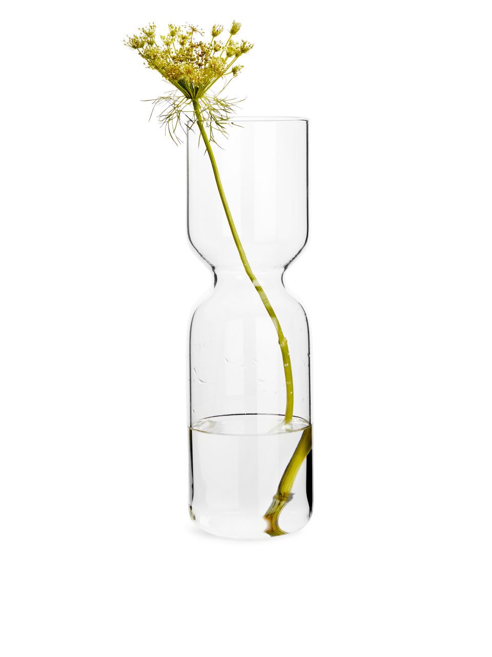 Vase, Plant, Flowerpot, Flower, Glass, Artifact, Interior design, 