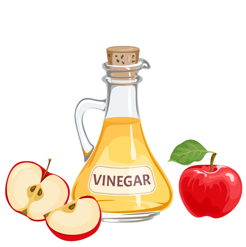apple cider vinegar in glass bottle and red apples fruits isolated on white background vector cartoon flat illustration