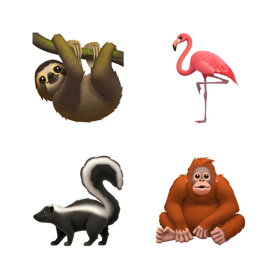 Animal figure, Terrestrial animal, Flamingo, Illustration, Wildlife, Animation, Bird, 