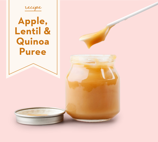 apple lentil and quinoa puree