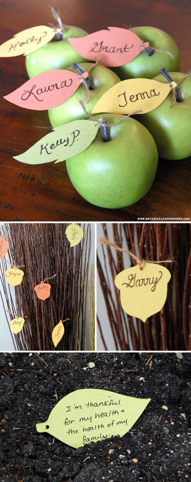 Apple, Fruit, Plant, Food, Font, Malus, Rose family, 