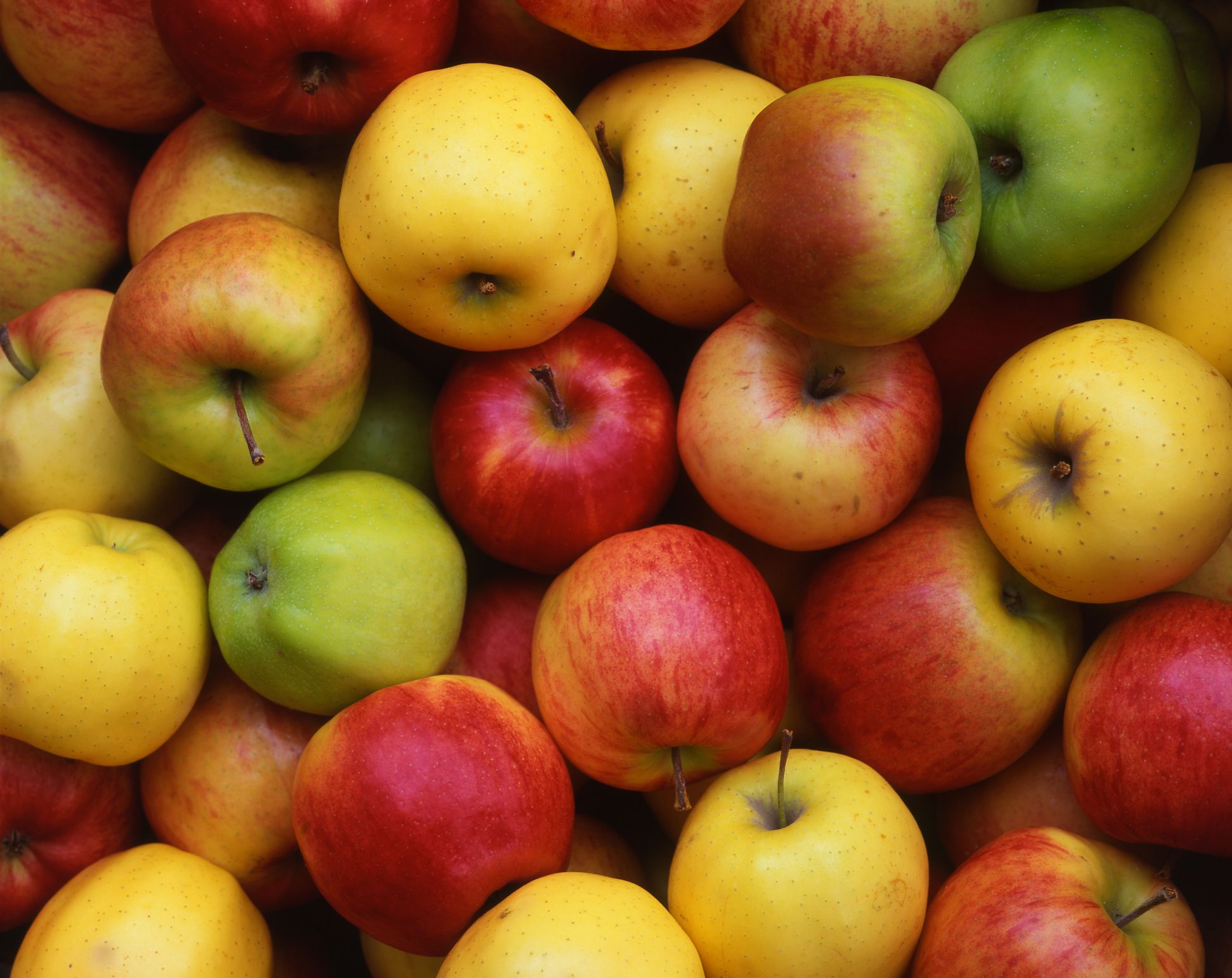 25 Types of Apples and How to Use Them - Parade