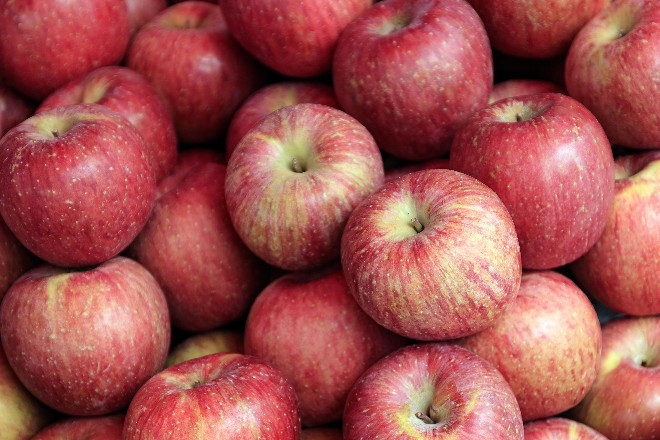 25 Different Types of Apples — Apple Varieties and Their Tastes