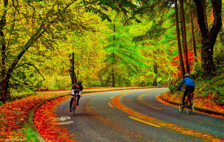 Cyclists in the fall. 
