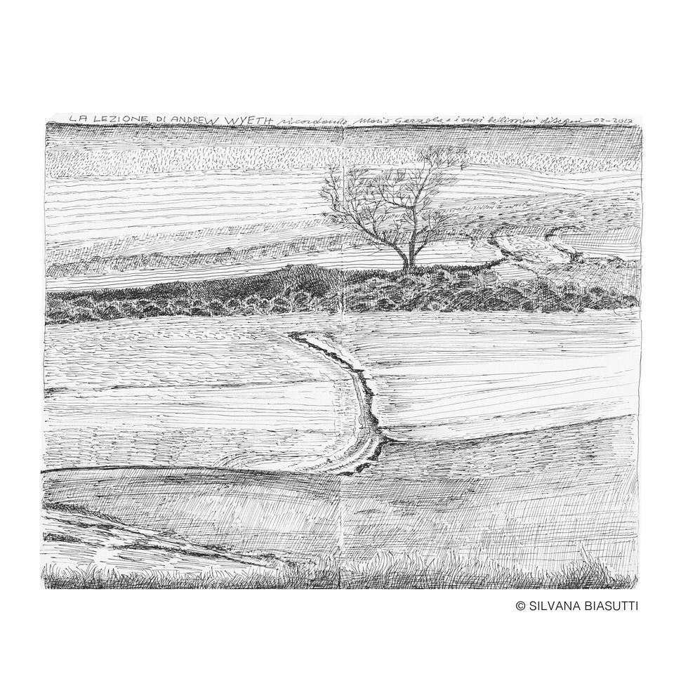 Drawing, Line, Tree, Sketch, Branch, Artwork, Plant, Black-and-white, Illustration, Rectangle, 