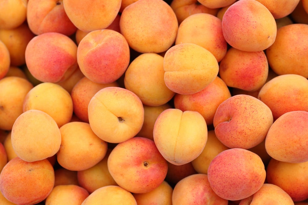 apricots