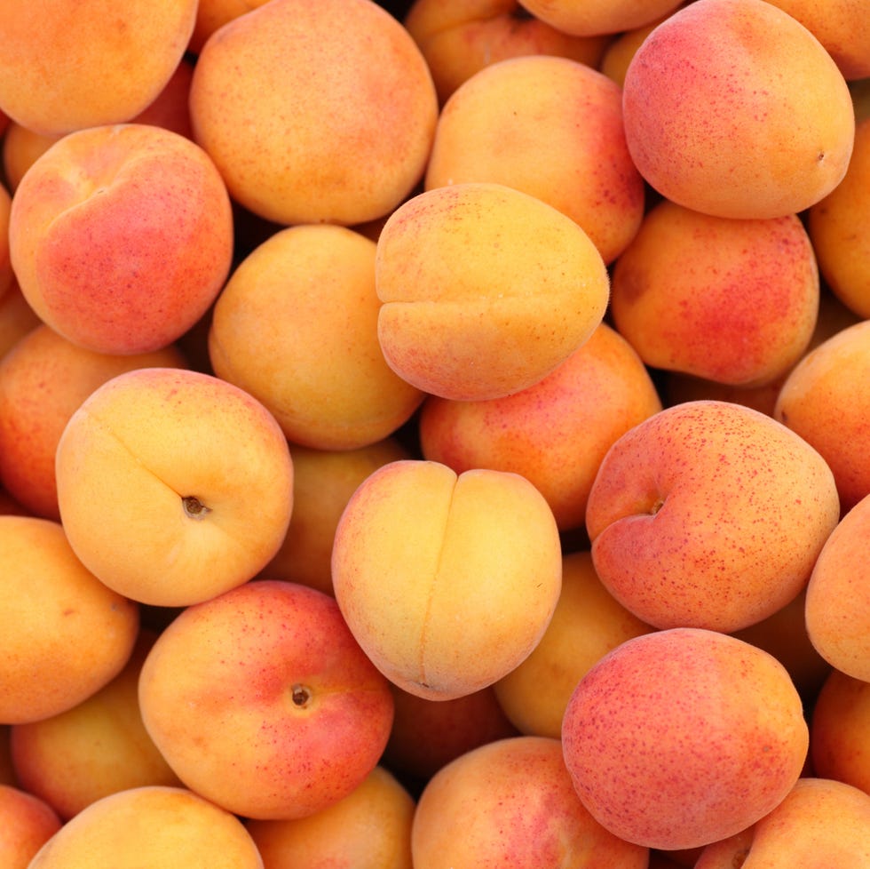 Apricots apricots