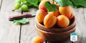 are apricots healthy