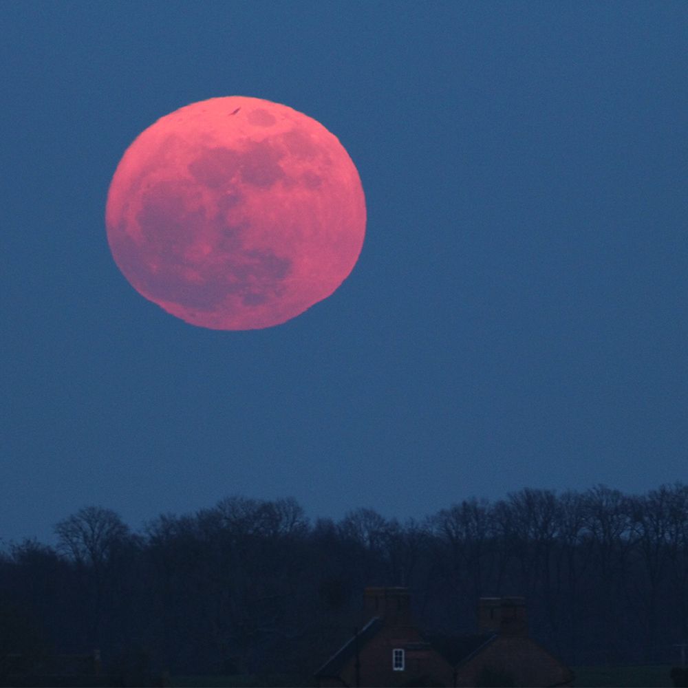april 2021 full pink supermoon