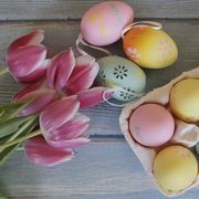 easter eggs and pink tulips flat lay