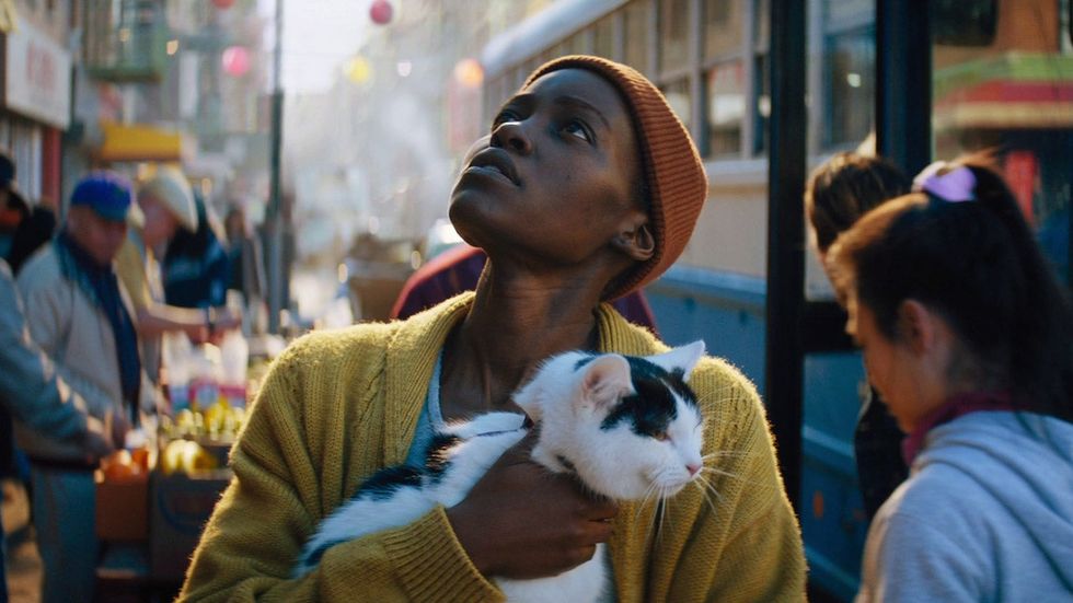 a person in a garment holding a cat