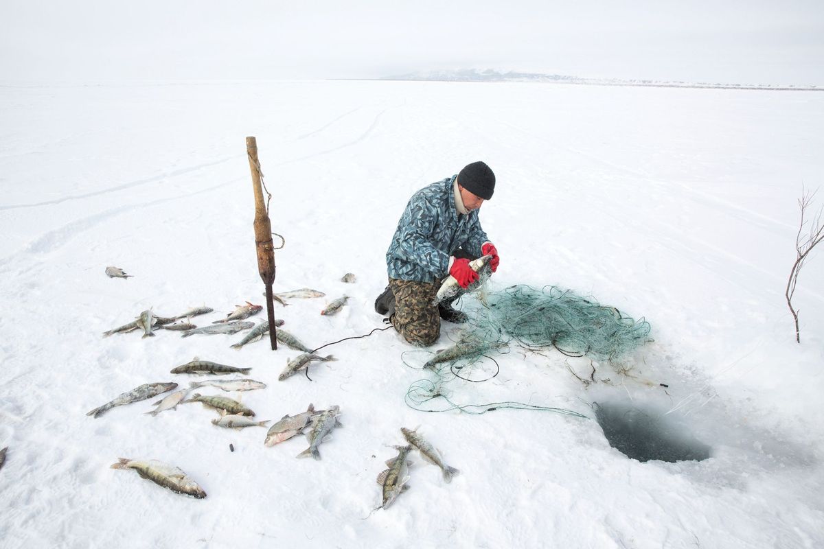 De 25jarige Omirserik Ibragimov gebruikt een net om te ijsvissen op het bevroren oppervlak van het noordelijke Aralmeer in de buurt van Tastubek in Kazachstan
