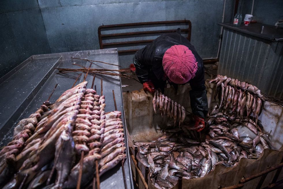 Een arbeider treft voorbereidingen voor het roken van vis