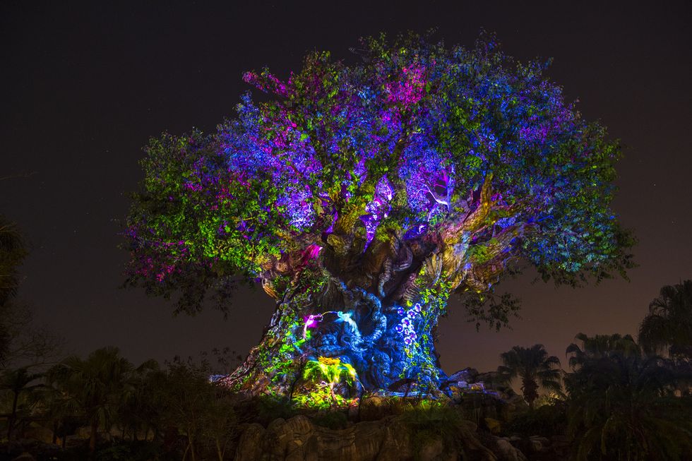 el árbol de la vida, icono emblemático del parque animal kingdom de walt disney world, iluminado con luces de colores por la noche