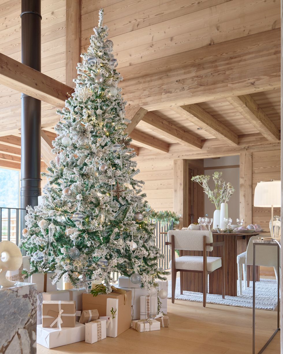🌲 Los mejores Árboles de Navidad Naturales para 2023 🌲- Mi árbol