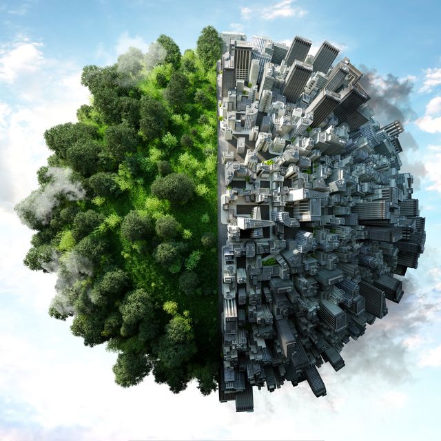 representación de un planeta con la mitad de árboles y la otra mitad con una ciudad
