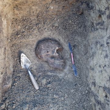archaeological excavation with skeletons