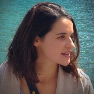 arielle zibrak