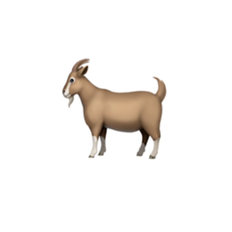 Vertebrate, Goats, Mammal, Goat, Goat-antelope, Cow-goat family, Livestock, Wildlife, Horn, Clip art, 