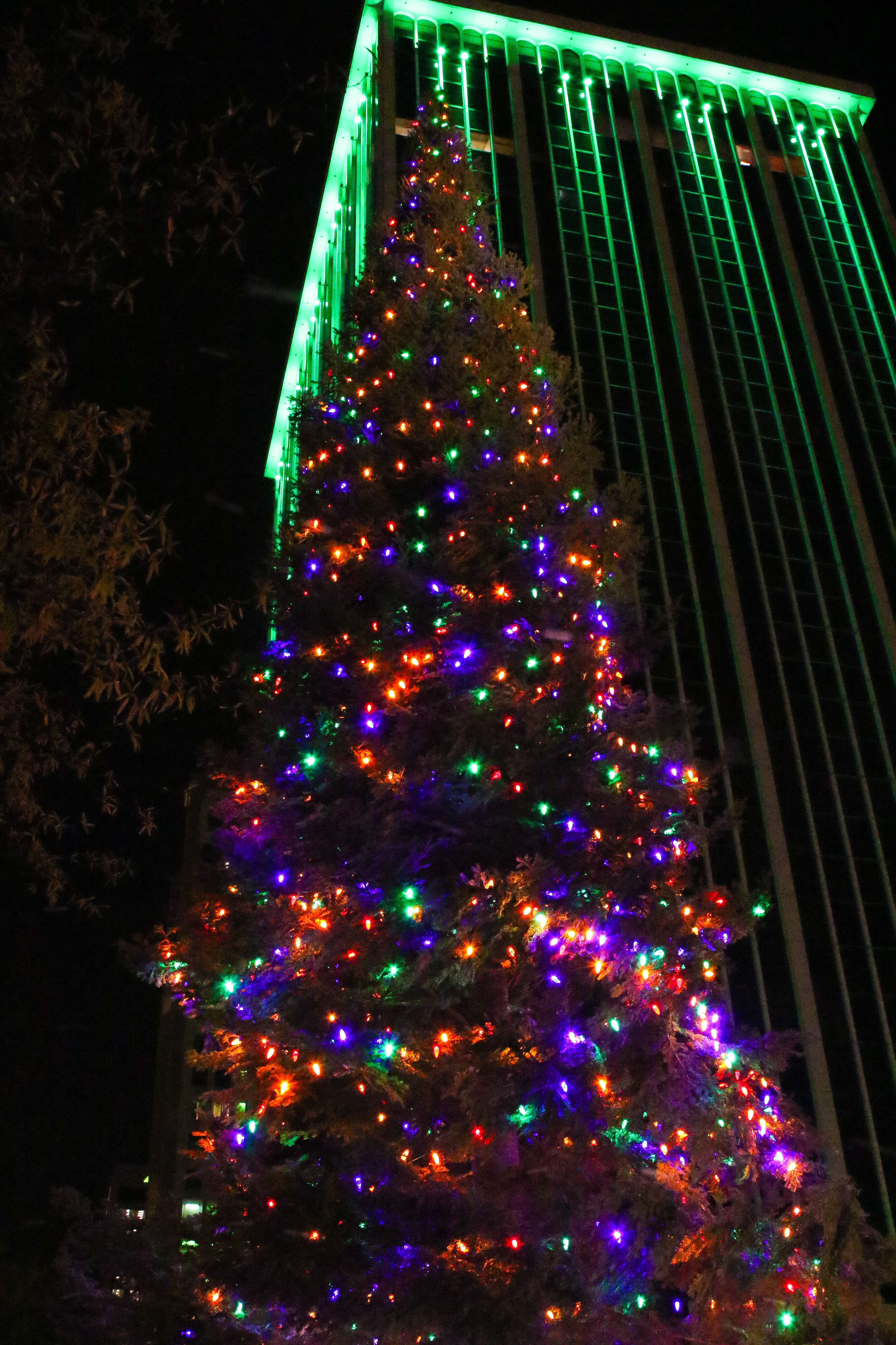 How to See the Country's Tallest Indoor Christmas Tree