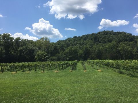 Arkansas Winery