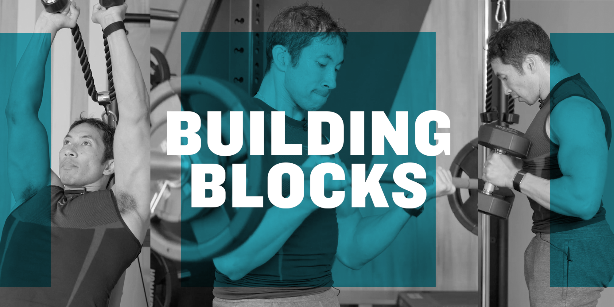 Use These 3 Key Muscle-Building Training Principles to Sculpt Bigger Arms