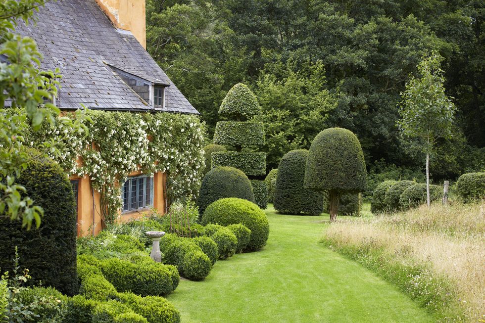 arne maynard side garden topiary garden wales