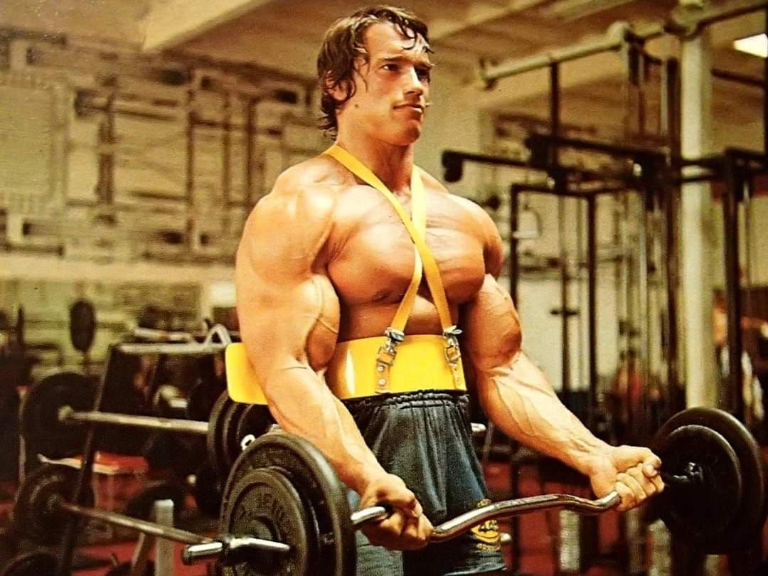 Arnold Schwarzenegger y el papel de su cerdito en su rutina fitness de  mañana