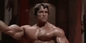 La juventud de Arnold Schwarzenegger como culturista se convertirá