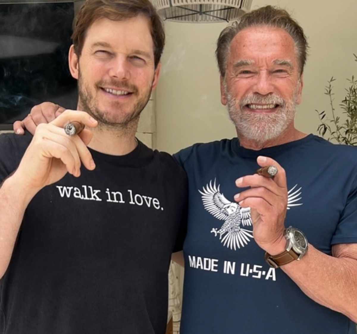 Katherine Schwarzenegger Shares Photo of Arnold and Chris Pratt