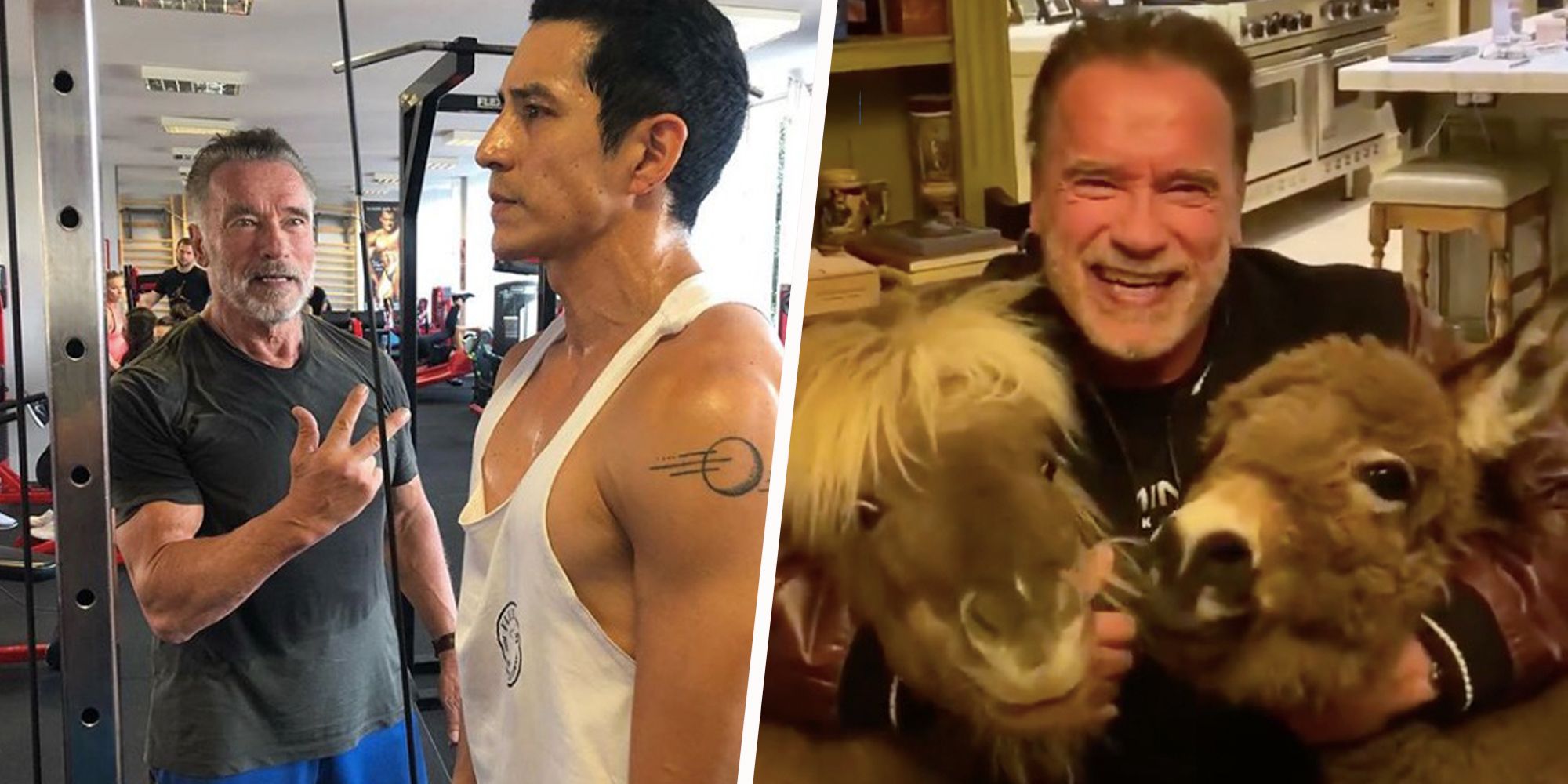 Arnold Schwarzenegger Left Gold's Gym Over Lack of Face-Mask Policy