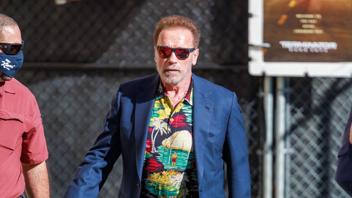 preview for Arnold Schwarzenegger | Gym and Fridge
