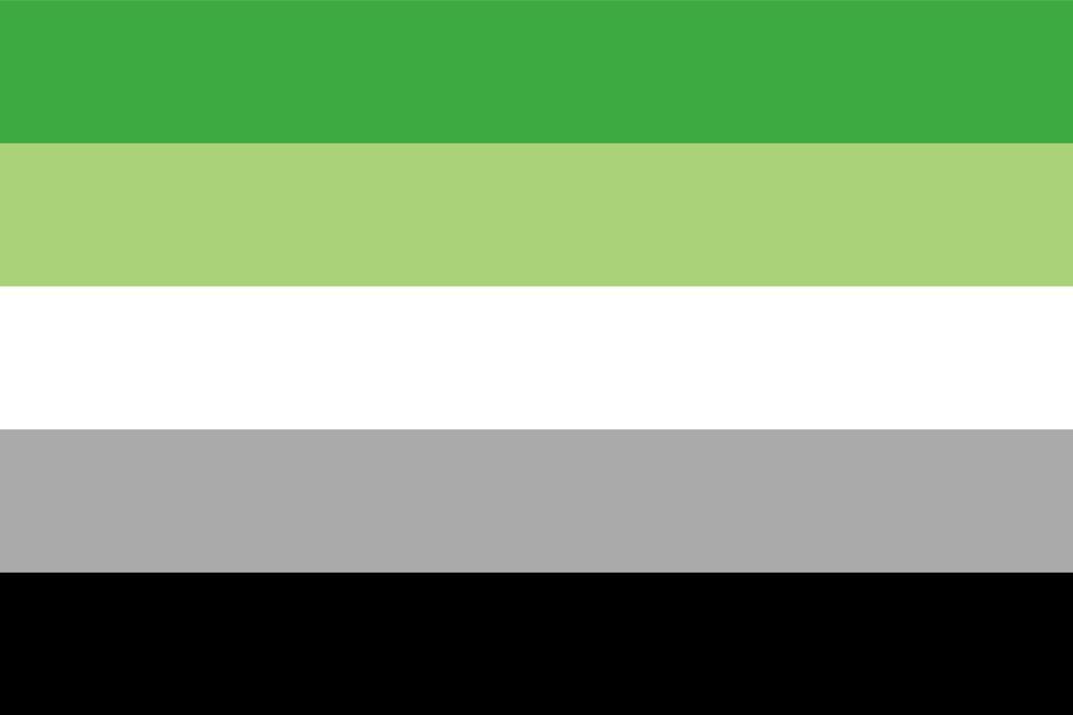 agender pride flag vector illustration designed with correct color scheme symbol of agender community