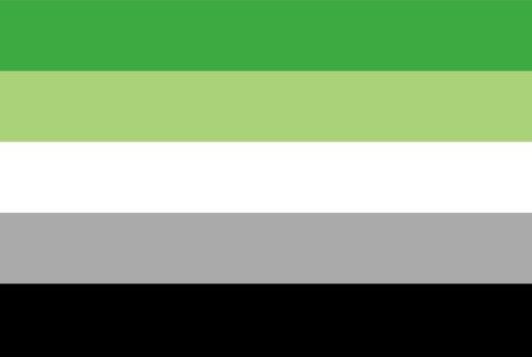 21 LGBTQ Flags - All LGBTQ Flags Meanings & Terms