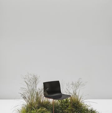 a chair in a grassy area